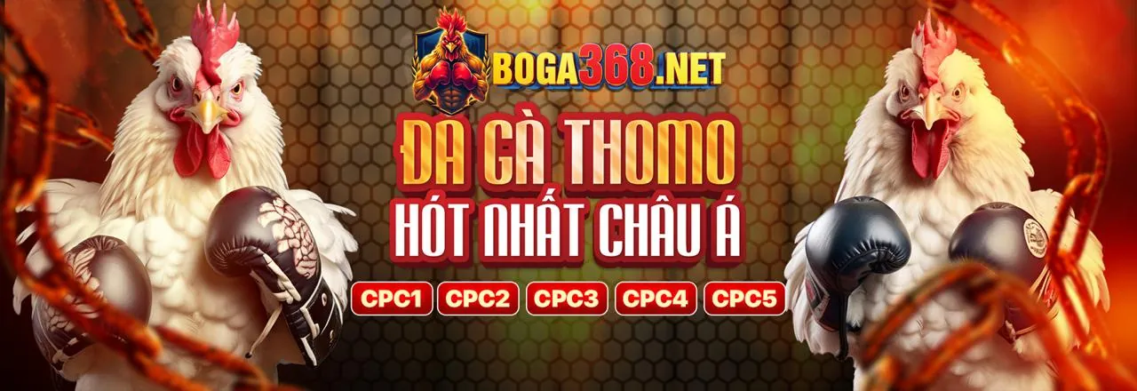 Nâng cấp hệ thống và bảo mật của 0033win